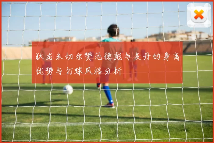 狄龙米切尔赞范德彪与麦丹的身高优势与打球风格分析